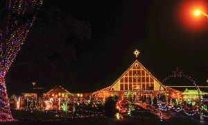 come enjoy the annual lights of christmas at warm beach in stanwood and hear voices northwest singing your favorite christmas carols at 645 - Warm Beach Lights Of Christmas come enjoy the annual lights of christmas at warm beach in stanwood and hear voices northwest singing your favorite christmas carols at 645 - Warm Beach Lights Of Christmas